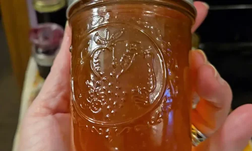 How to Re-Set Jelly that didn’t set the first time — How to Fix Runny Jelly in one hour
